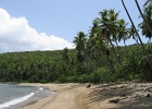 U.S. Virgin Islands